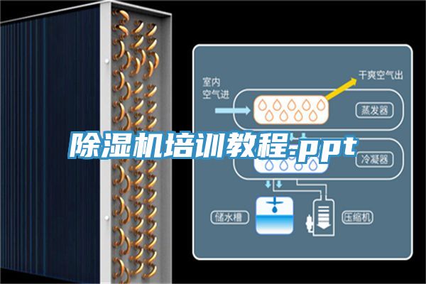 猫咪成人官网培训教程.ppt