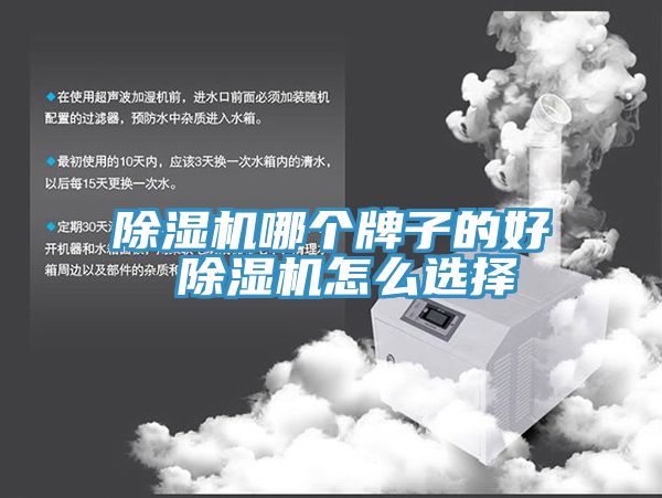 猫咪成人官网哪个牌子的好 猫咪成人官网怎么选择