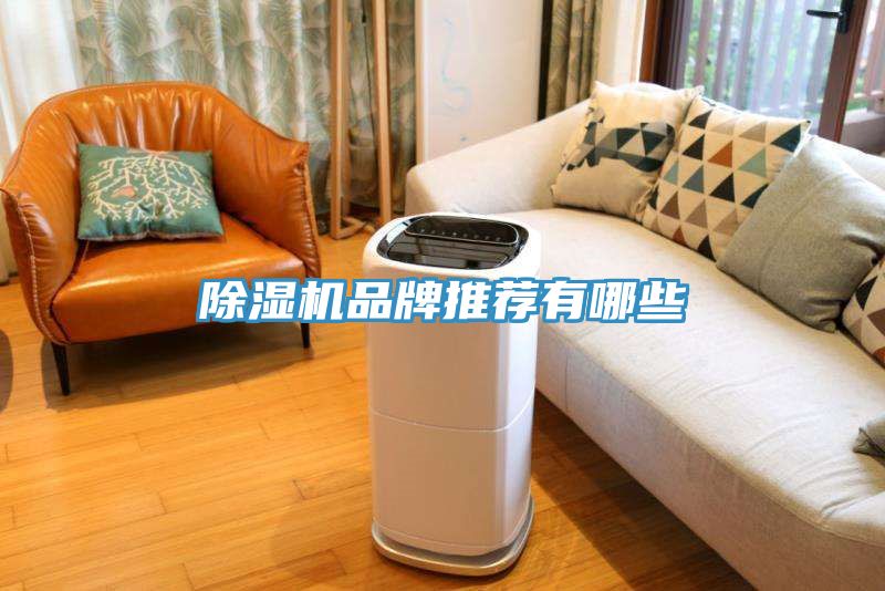 猫咪成人官网品牌推荐有哪些