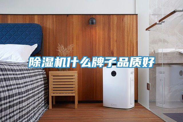 猫咪成人官网什么牌子品质好