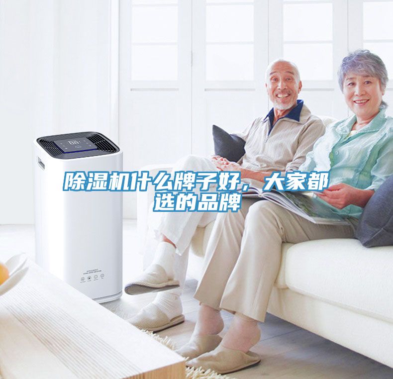 猫咪成人官网什么牌子好，大家都选的品牌