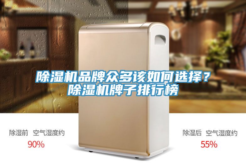 猫咪成人官网品牌众多该如何选择？猫咪成人官网牌子排行榜