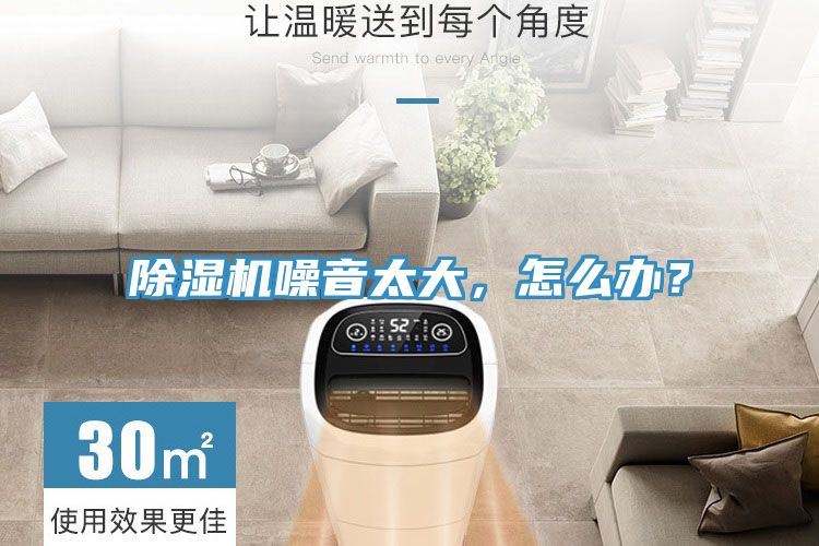 猫咪成人官网噪音太大，怎么办？