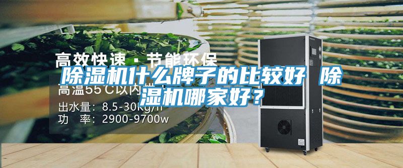 猫咪成人官网什么牌子的比较好 猫咪成人官网哪家好？