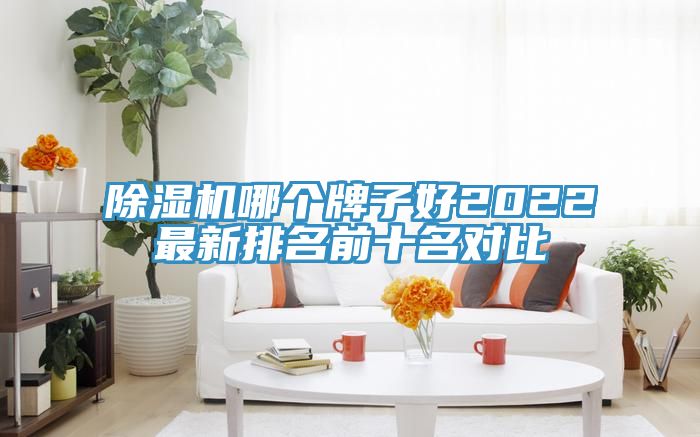猫咪成人官网哪个牌子好2022最新排名前十名对比