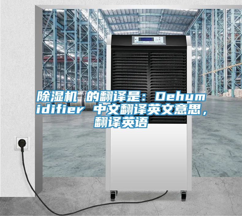 猫咪成人官网 的翻译是：Dehumidifier 中文翻译英文意思，翻译英语