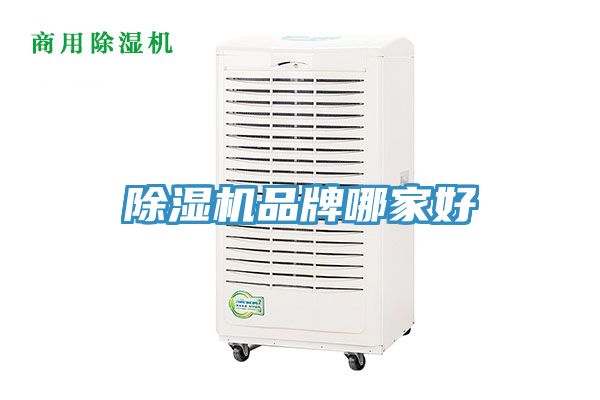 猫咪成人官网品牌哪家好
