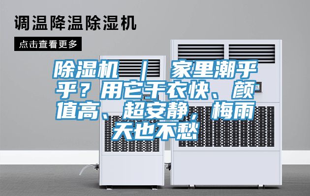 猫咪成人官网 ｜ 家里潮乎乎？用它干衣快、颜值高、超安静，梅雨天也不愁