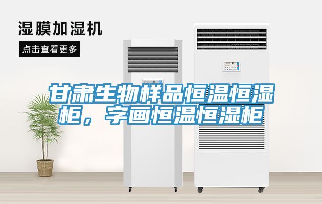 甘肃生物样品恒温恒湿柜，字画恒温恒湿柜