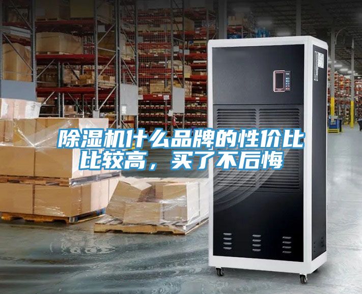 猫咪成人官网什么品牌的性价比比较高，买了不后悔