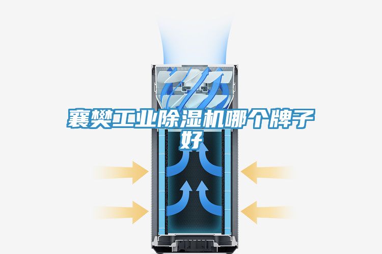 襄樊工业猫咪成人官网哪个牌子好