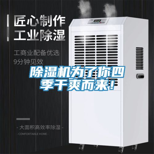 猫咪成人官网为了你四季干爽而来！