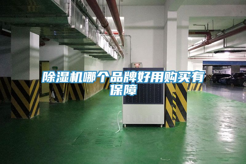 猫咪成人官网哪个品牌好用购买有保障