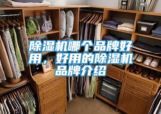 猫咪成人官网哪个品牌好用，好用的猫咪成人官网品牌介绍
