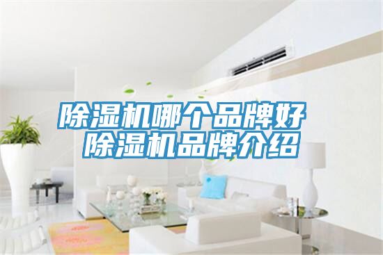 猫咪成人官网哪个品牌好 猫咪成人官网品牌介绍