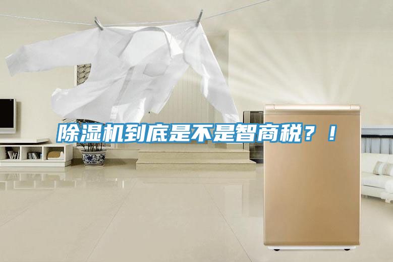 猫咪成人官网到底是不是智商税？！