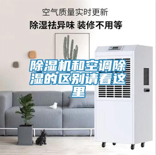 猫咪成人官网和空调除湿的区别请看这里