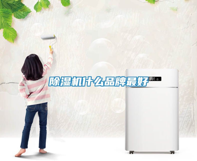 猫咪成人官网什么品牌最好