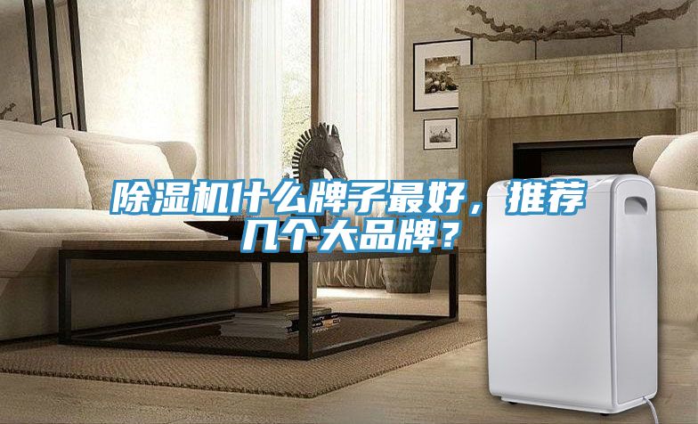 猫咪成人官网什么牌子最好，推荐几个大品牌？