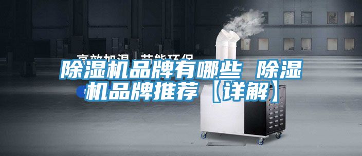 猫咪成人官网品牌有哪些 猫咪成人官网品牌推荐【详解】