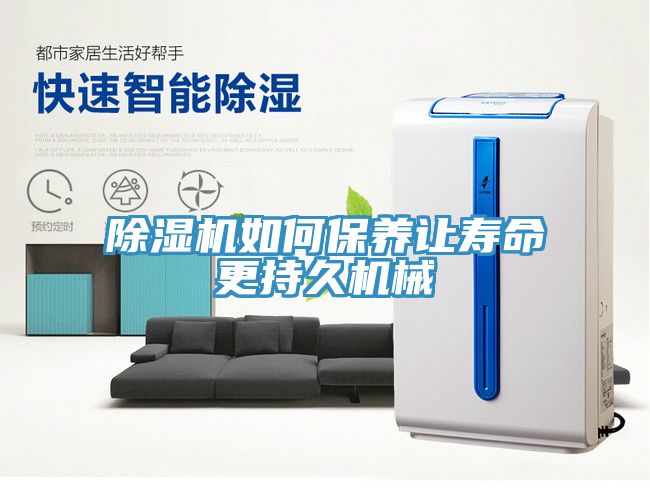 猫咪成人官网如何保养让寿命更持久机械