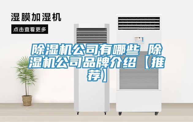 猫咪成人官网公司有哪些 猫咪成人官网公司品牌介绍【推荐】