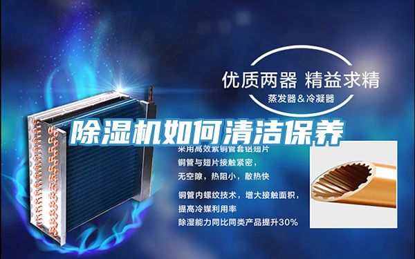 猫咪成人官网如何清洁保养