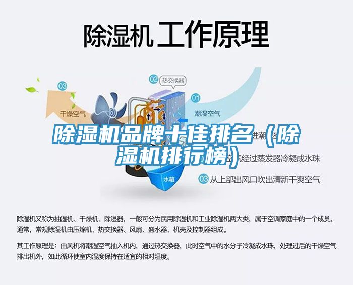 猫咪成人官网品牌十佳排名（猫咪成人官网排行榜）