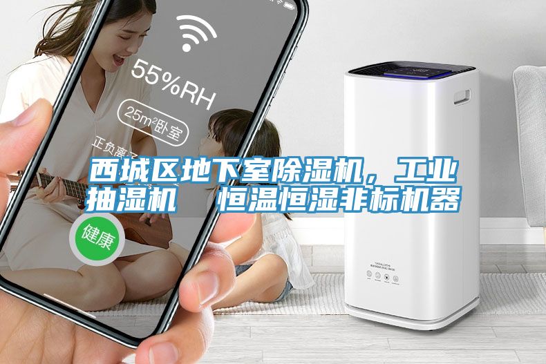 西城区地下室猫咪成人官网，工业抽湿机  恒温恒湿非标机器