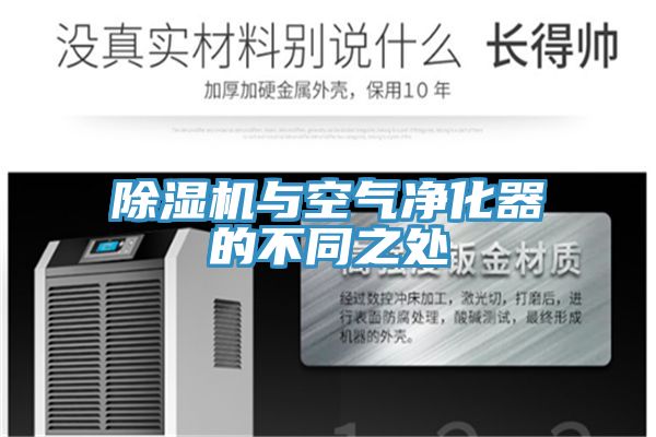猫咪成人官网与空气净化器的不同之处