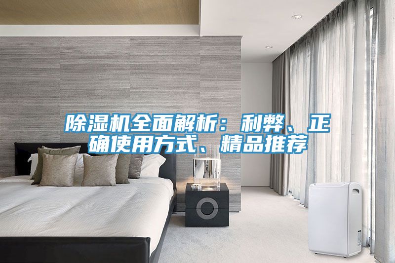 猫咪成人官网全面解析：利弊、正确使用方式、精品推荐