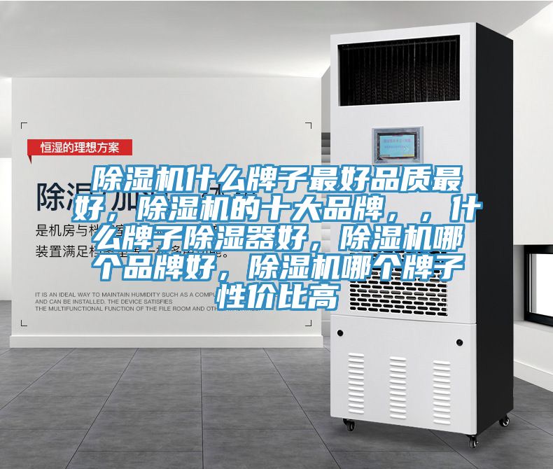 猫咪成人官网什么牌子最好品质最好，猫咪成人官网的十大品牌，，什么牌子除湿器好，猫咪成人官网哪个品牌好，猫咪成人官网哪个牌子性价比高