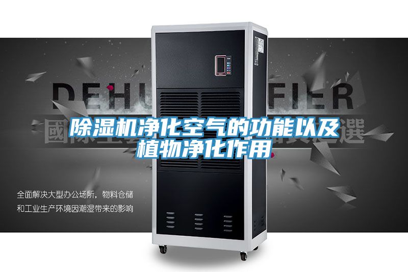猫咪成人官网净化空气的功能以及植物净化作用