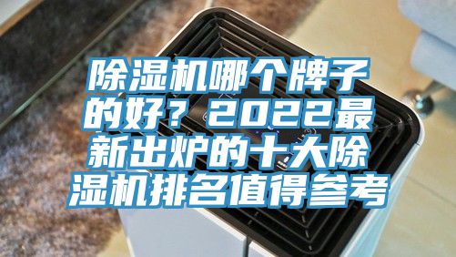 猫咪成人官网哪个牌子的好？2022最新出炉的十大猫咪成人官网排名值得参考