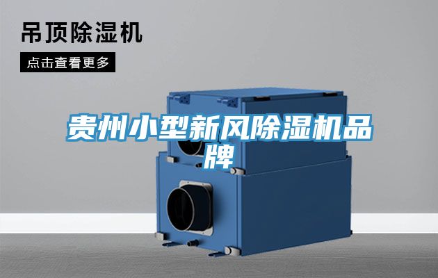 贵州小型新风猫咪成人官网品牌