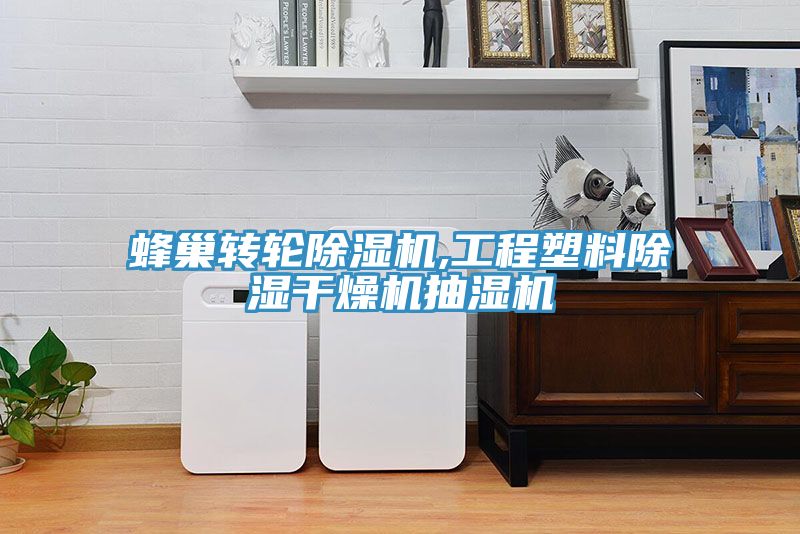 蜂巢转轮猫咪成人官网,工程塑料除湿干燥机抽湿机