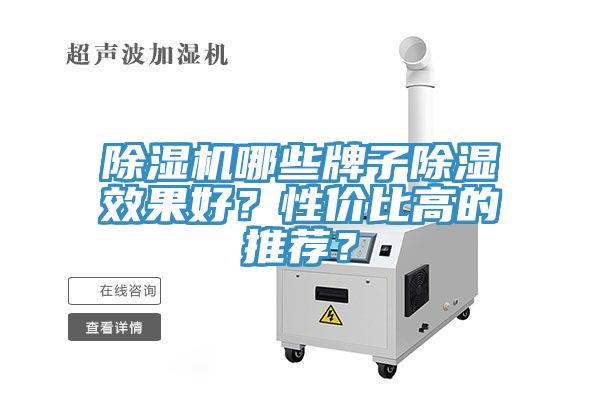 猫咪成人官网哪些牌子除湿效果好？性价比高的推荐？