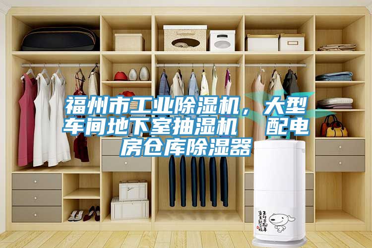 福州市工业猫咪成人官网，大型车间地下室抽湿机  配电房仓库除湿器