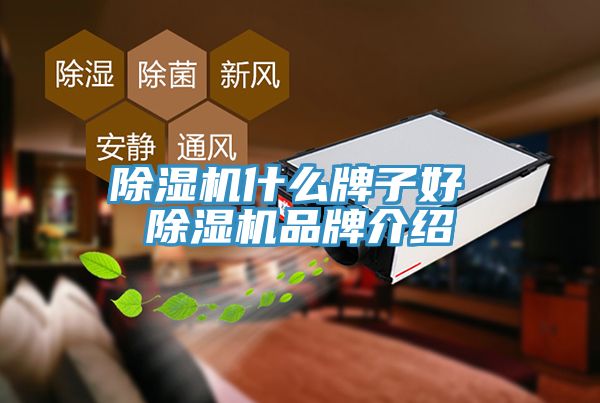 猫咪成人官网什么牌子好 猫咪成人官网品牌介绍