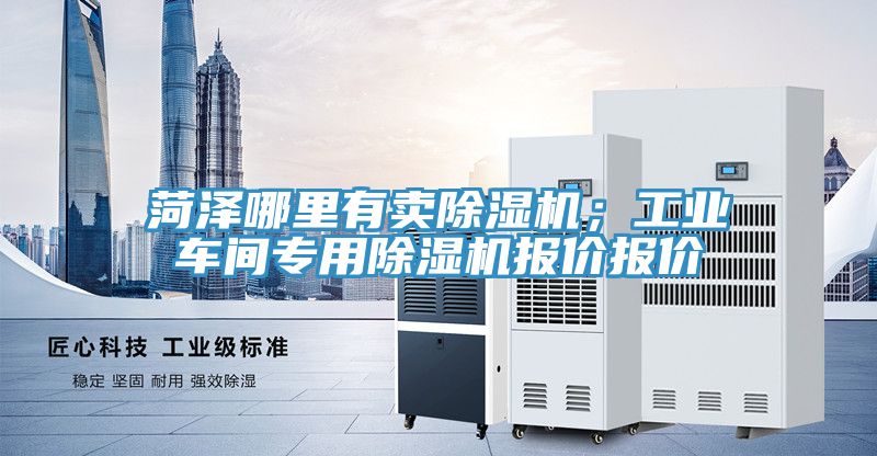 菏泽哪里有卖猫咪成人官网；工业车间专用猫咪成人官网报价报价