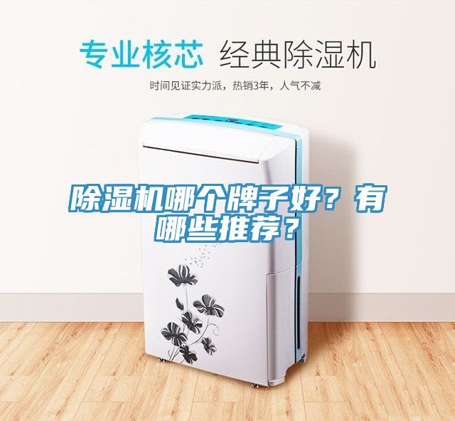 猫咪成人官网哪个牌子好？有哪些推荐？