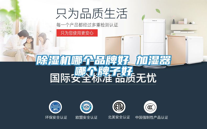 猫咪成人官网哪个品牌好 加湿器哪个牌子好