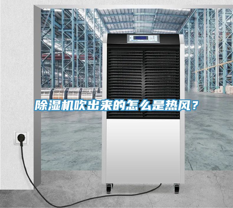 猫咪成人官网吹出来的怎么是热风？