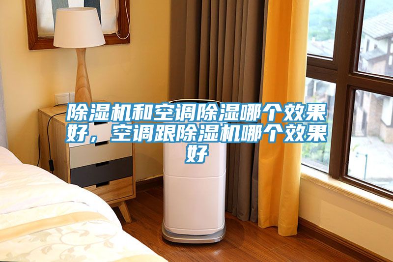 猫咪成人官网和空调除湿哪个效果好，空调跟猫咪成人官网哪个效果好