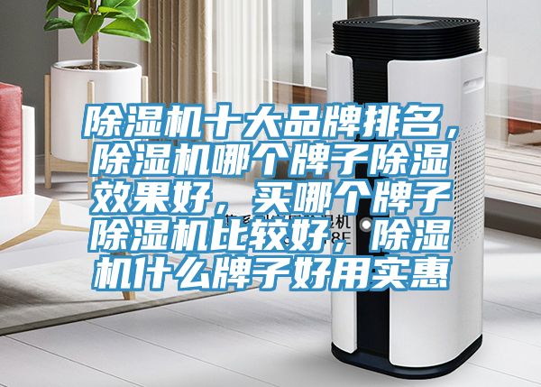 猫咪成人官网十大品牌排名，猫咪成人官网哪个牌子除湿效果好，买哪个牌子猫咪成人官网比较好，猫咪成人官网什么牌子好用实惠