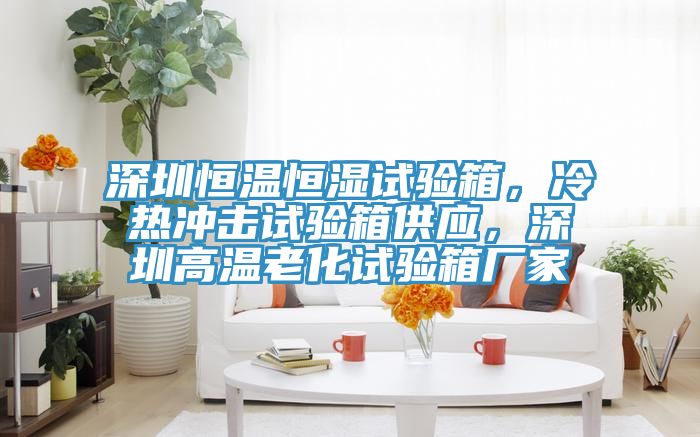 深圳恒温恒湿试验箱，冷热冲击试验箱供应，深圳高温老化试验箱厂家
