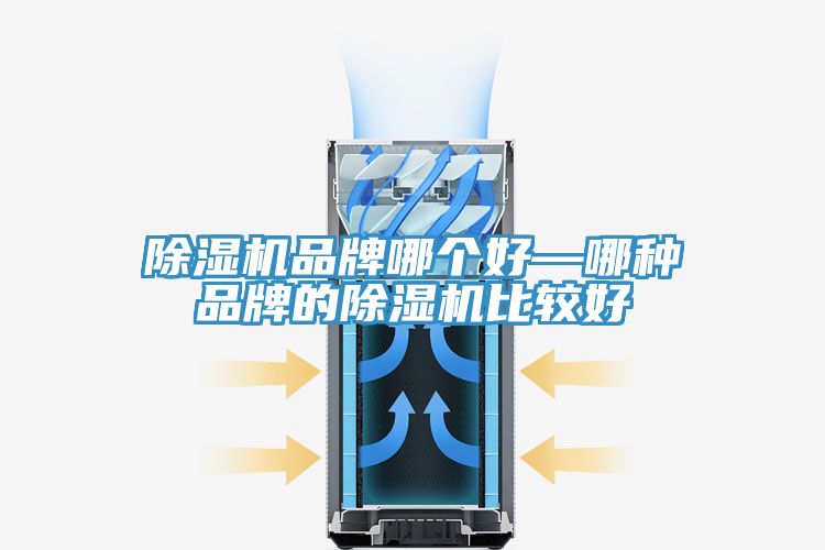 猫咪成人官网品牌哪个好—哪种品牌的猫咪成人官网比较好