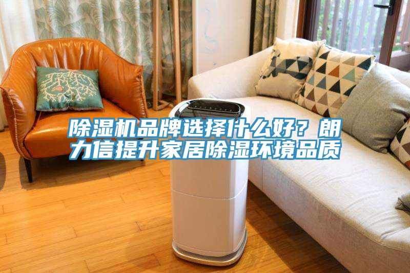 猫咪成人官网品牌选择什么好？朗力信提升家居除湿环境品质