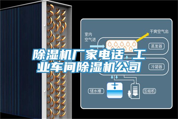 猫咪成人官网厂家电话 工业车间猫咪成人官网公司
