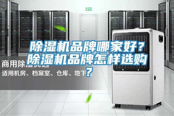 猫咪成人官网品牌哪家好？猫咪成人官网品牌怎样选购？